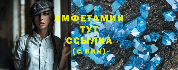 шишки Заречный