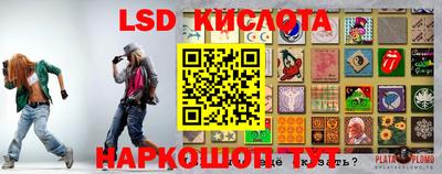 прущие грибы Дубна