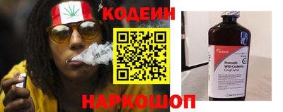 прущие грибы Дубна
