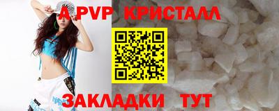 прущие грибы Дубна
