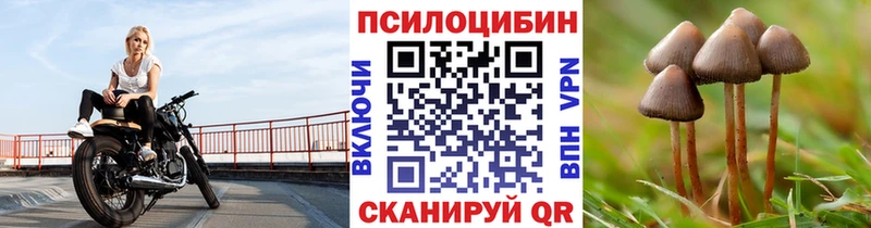 Псилоцибиновые грибы мухоморы  купить закладку  Реутов 