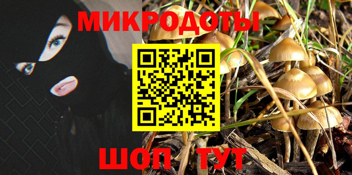 Псилоцибиновые грибы мицелий  Псилоцибиновые грибы Magic Shrooms  Вход с VPN  Реутов 