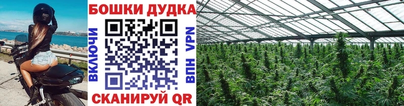 даркнет сайт  мега как зайти  Канабис гибрид  Реутов 